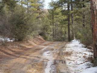 Enchanted Forest Trail Campsites