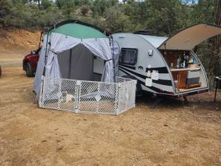 Bannie Mine Road Campsites