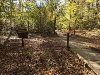 Bluff Hike In Campground — Congaree National Park