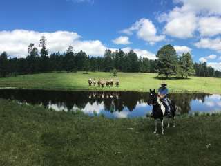 Broken Arrow Horse and RV Campground