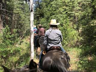 Coconino National Forest Little Elden Springs Horse Camp