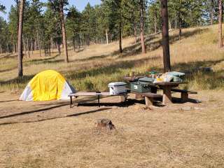 Black Hills National Forest Comanche Park Campground