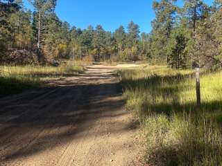 Camp 5 Motorized Trailhead