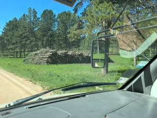 Black Hills NF FR307 Dispersed Camping