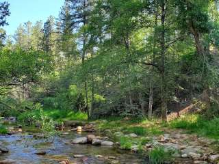 Lower Tonto Creek Campground