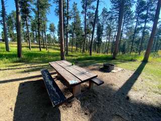 Black Hills National Forest Dutchman Campground