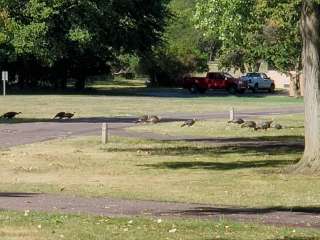 Gavins Campground — Lewis And Clark Recreation Area