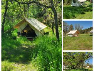 Bear Den Cabins and Camp