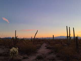 Gilbert Ray Campground