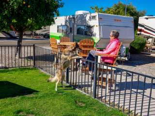 Tucson - Lazydays KOA