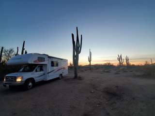 Cactus Forest - Park Link Road - S. Cattle Tanks Road BLM dispersed