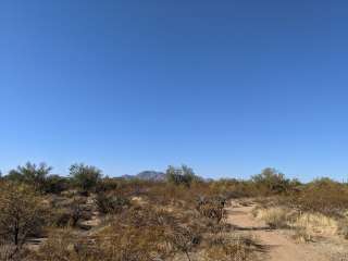 McDowell Mountain Regional Park