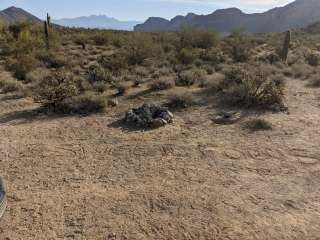 Bulldog Canyon Dispersed Camping - North Entrance