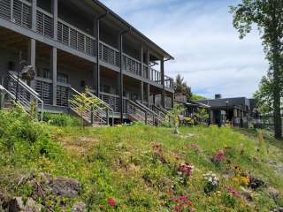 Wildwood Resort and Marina