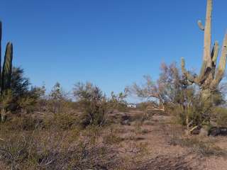 BLM Ironwood Forest National Monument - Pipeline Rd Dispersed camping