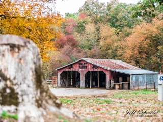 Holpps Pine Ridge Lake Campground