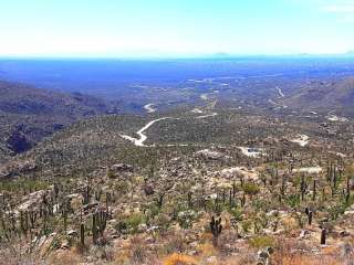 Redington Pass - Dispersed Camping