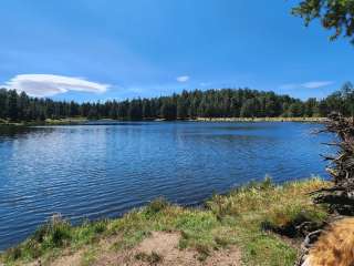 Riggs Flat Campground