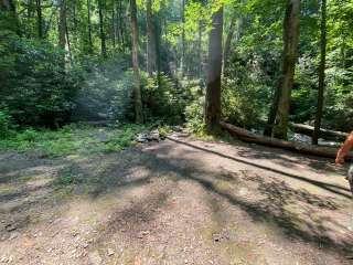 Goforth Creek Campground C