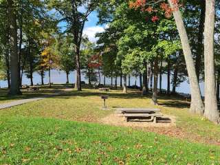 Watauga Point Recreation Area