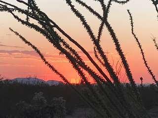 Cactus Country RV Park - 55+