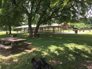 Old Hickory Beach