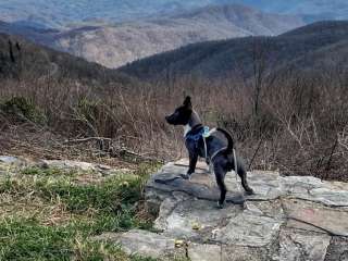 Unaka Mountain Overlook