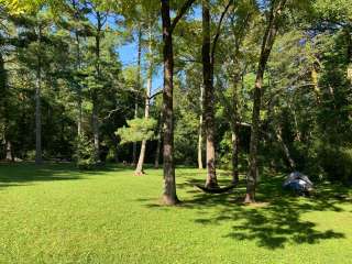 Davis Pond Campsite