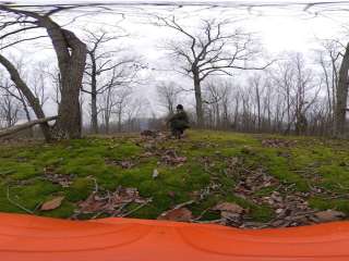 Chester Hollow Backcountry Shelter #2 — Nathan Bedford Forrest State Park