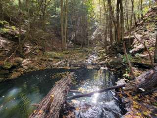 Grundy Forest Campground — South Cumberland State Park