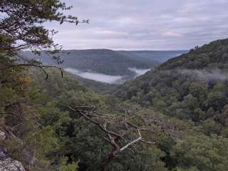 Small Wilds Campground — South Cumberland State Park