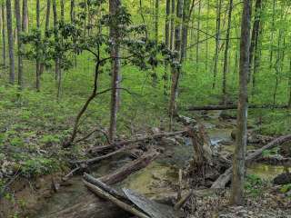 Little Cove Campground — South Cumberland State Park