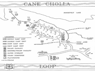 Cholla Campground