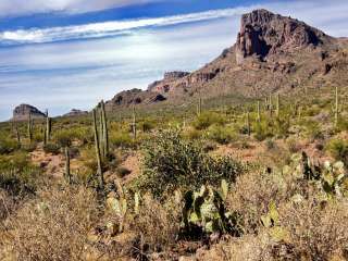 Superstition Mountain AZ state trust dispersed