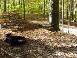 Alum Ford Primitive Campground — Big South Fork National River and Recreation Area