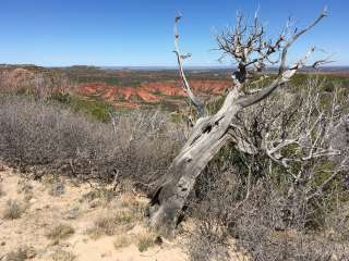 South Prong Primitive Camping Area — Caprock Canyons State Park