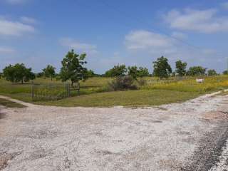 The Pecan Orchard