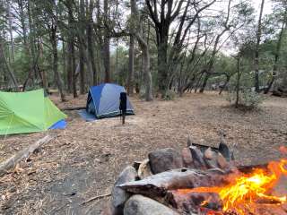 Happy Valley Saddle Campground — Saguaro National Park