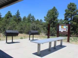 Timber Camp Recreation Area and Group Campgrounds