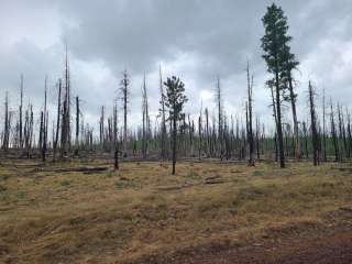 Horse Springs Campground