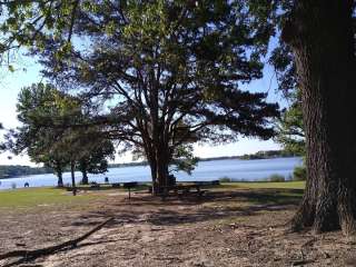 Canoe Launch - Mineola Nature Preserve Campground E