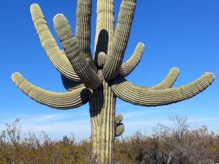 AZ State Land North Pump Station Road Dispersed