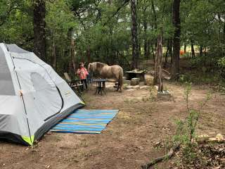 Sand Creek Campground 