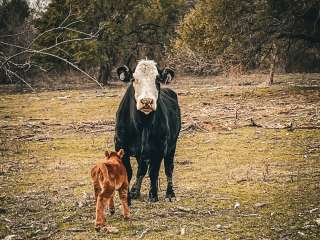 Farnash Creek Ranch