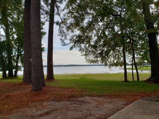 Lakeside Village Marina