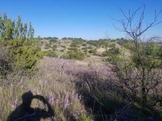 Chaparral — San Angelo State Park