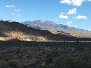 Mesquite Wash Dispersed 