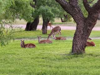 Wildcat RV Park