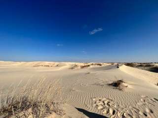 Monahans Sandhills State Park