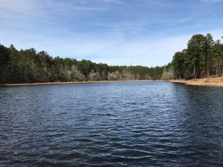 Boykin Springs NF Campground